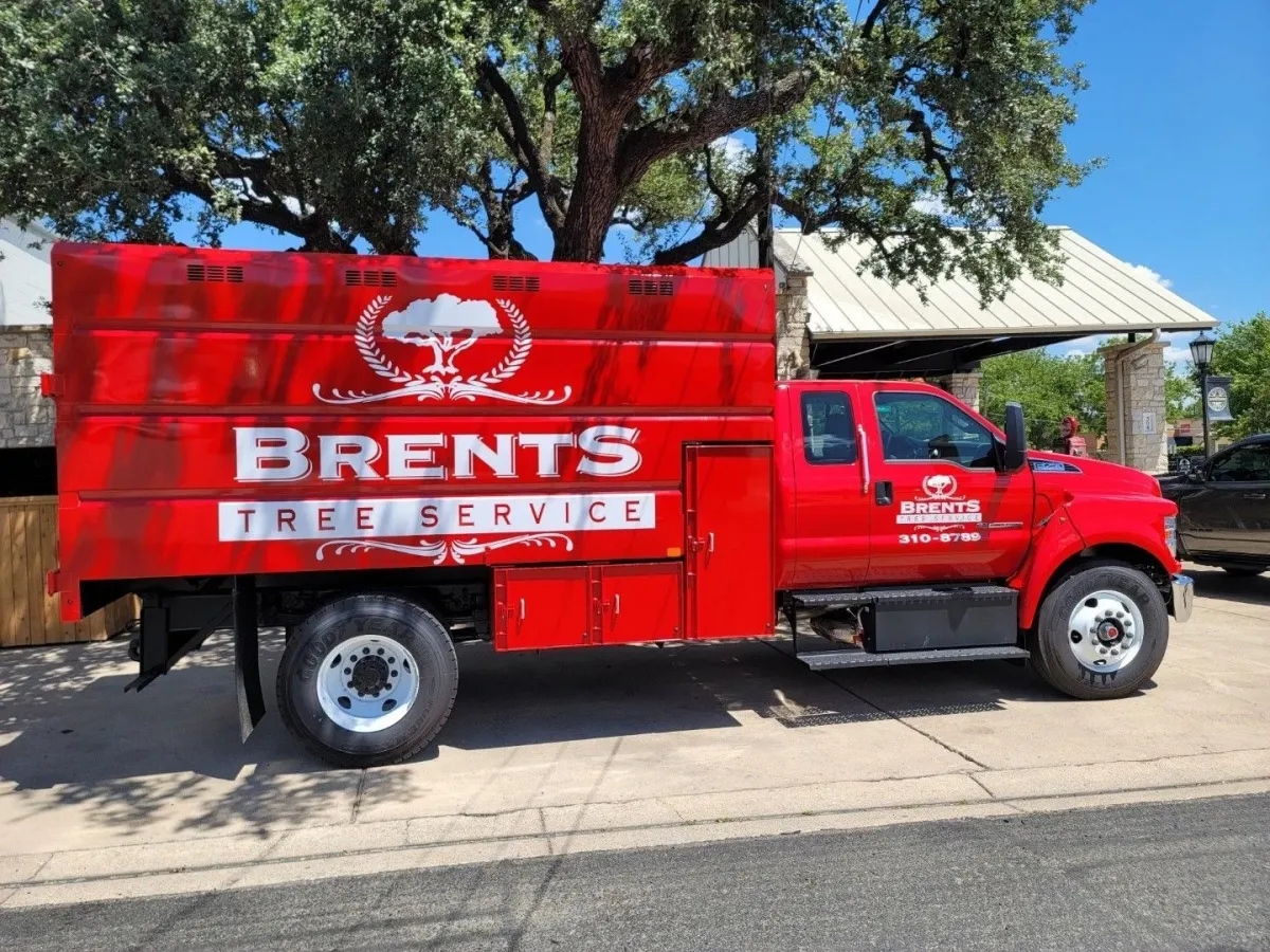 Commercial Tree Care 2