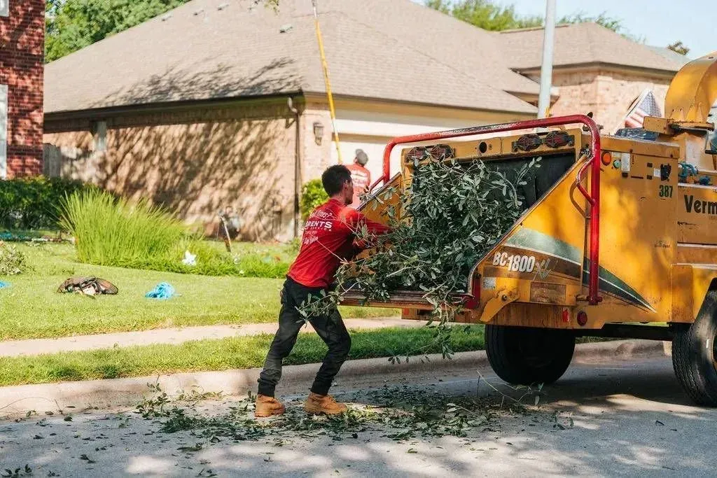 Storm Damage Clean-Up 4